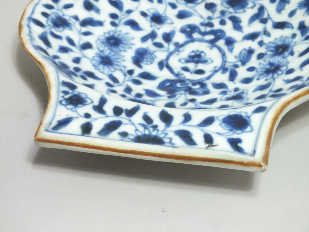 China - A pair of shells - Eighteenth Century - Kangxi period