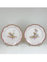 Aprey - Pair of Bird Plates - eighteenth Century