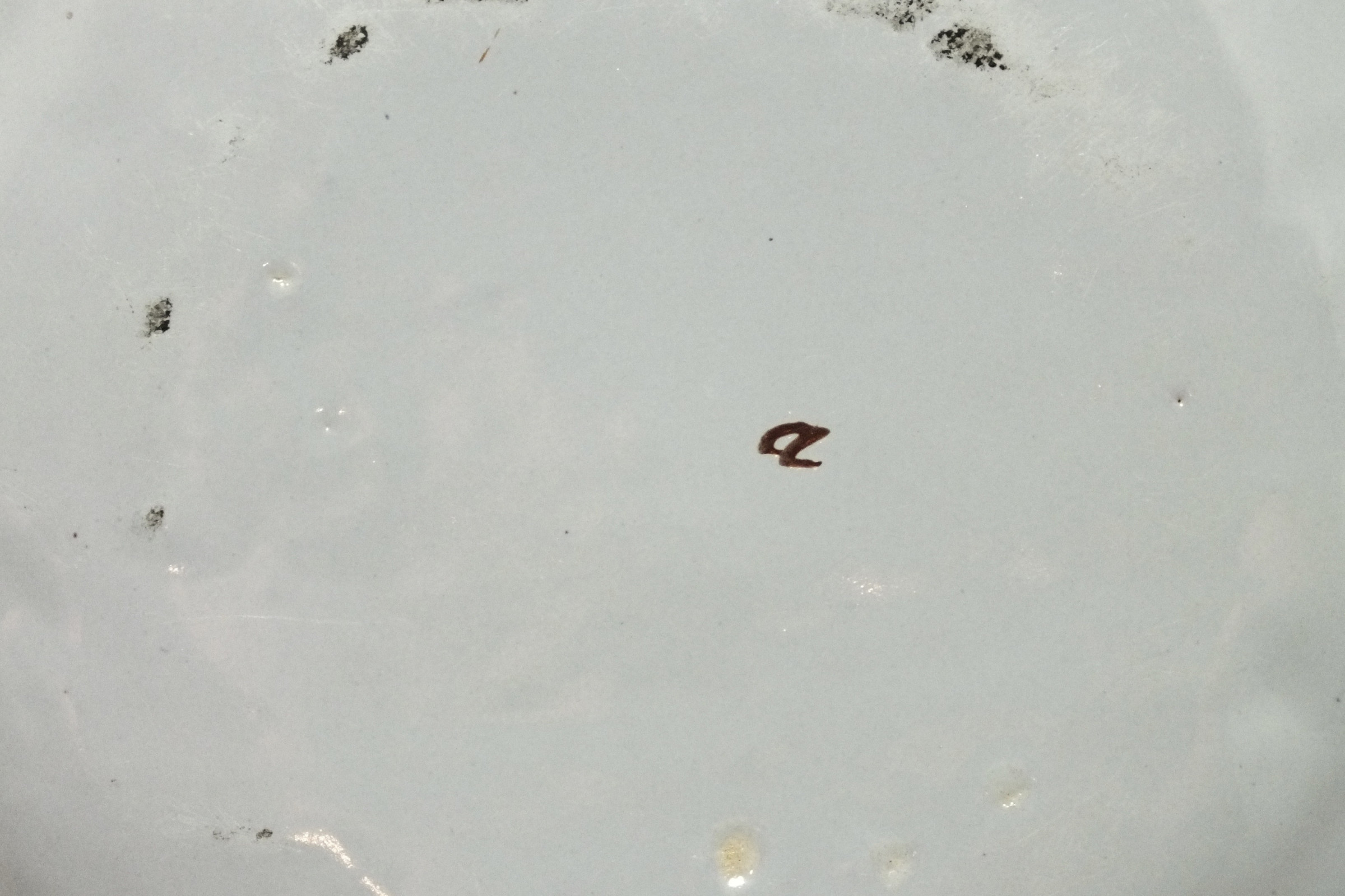 Saint-Amand-les-Eaux - Dish flower of India - Eighteenth Century