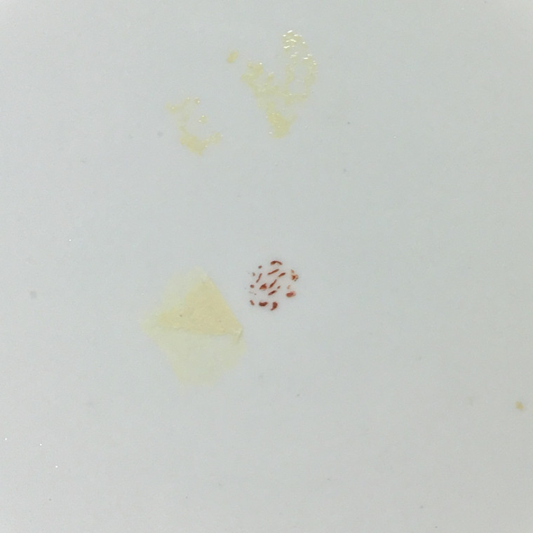 Paris – Clignancourt – Manufacture dite de Monsieur - Paire d'assiettes – XVIIIe siècle