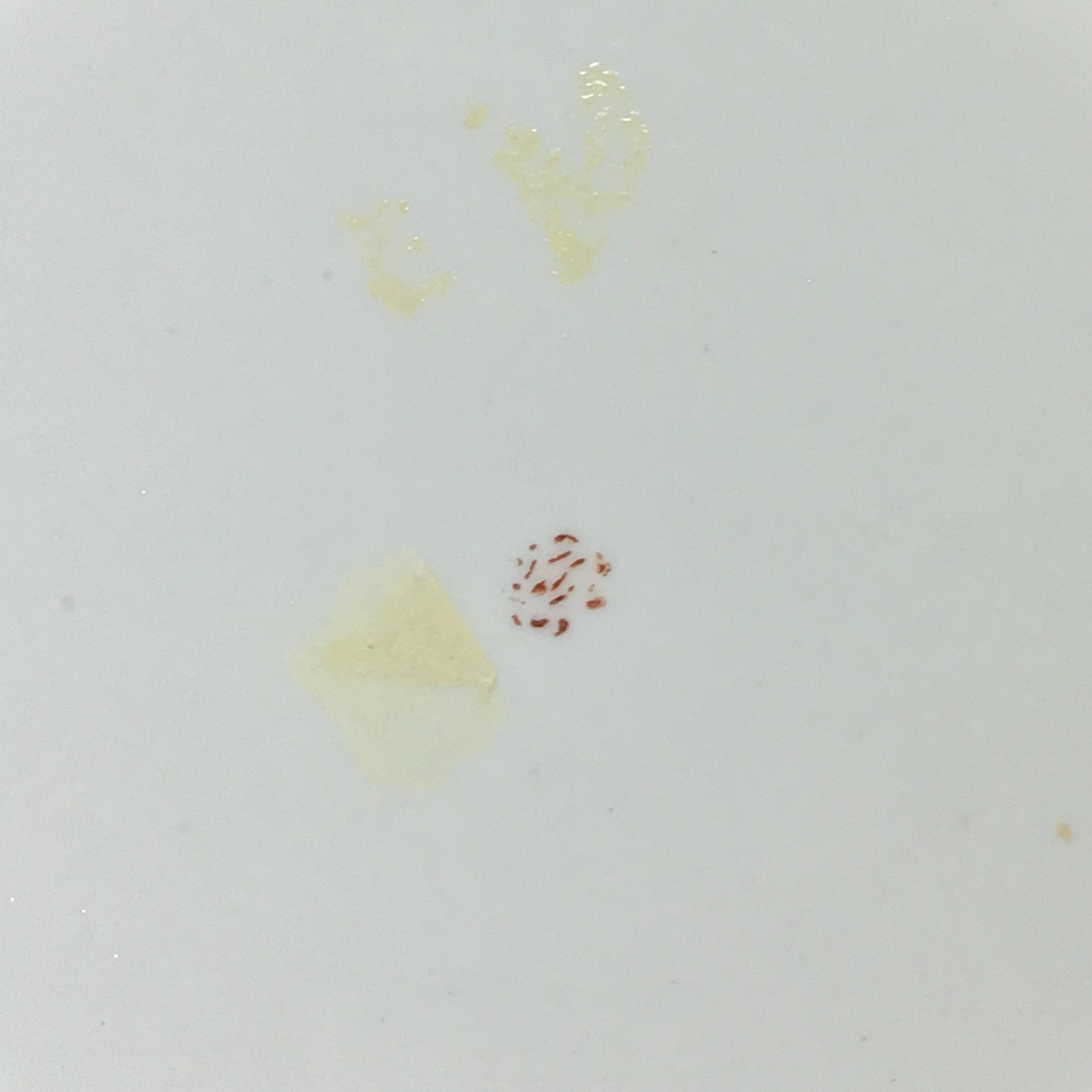 Paris - Clignancourt - said Mr. Manufacture - Pair of plates - eighteenth century