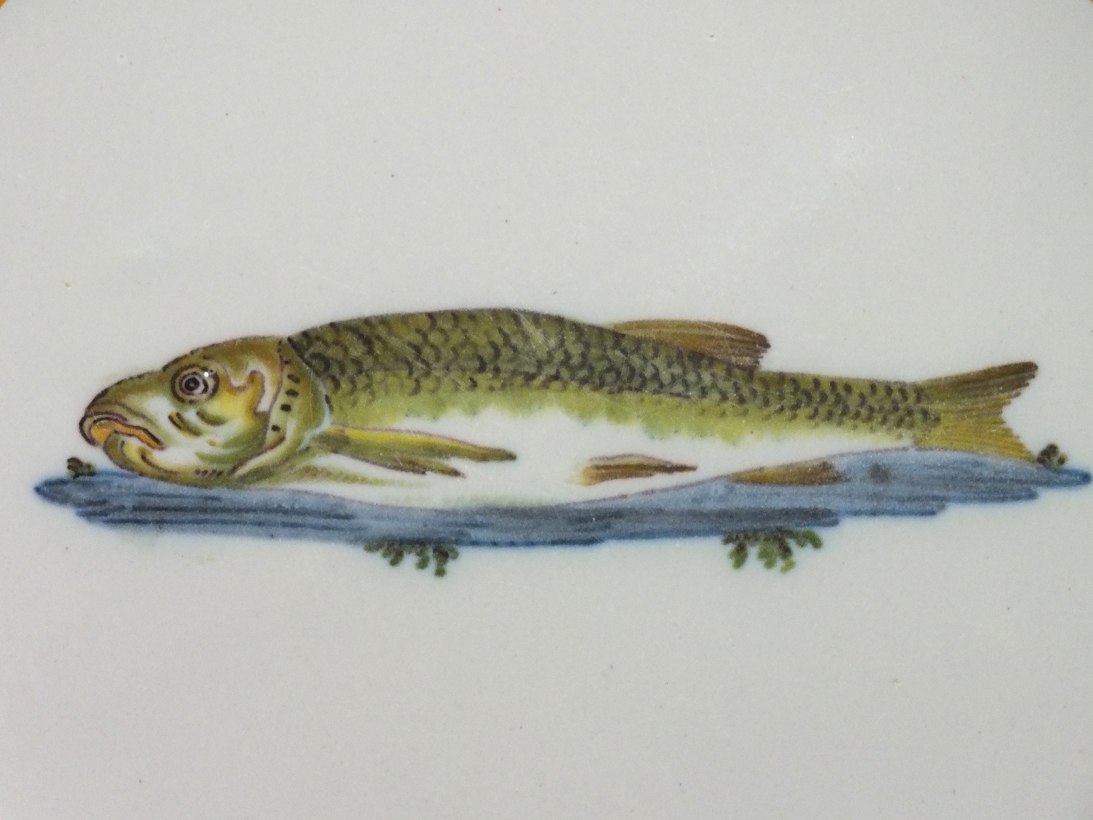 Moustiers – Assiette au poisson – XVIIIe Siècle