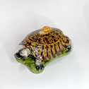 Strasbourg - Tortue en trompe l’oeil - Manufacture Paul Hannong, vers 1750-1754
