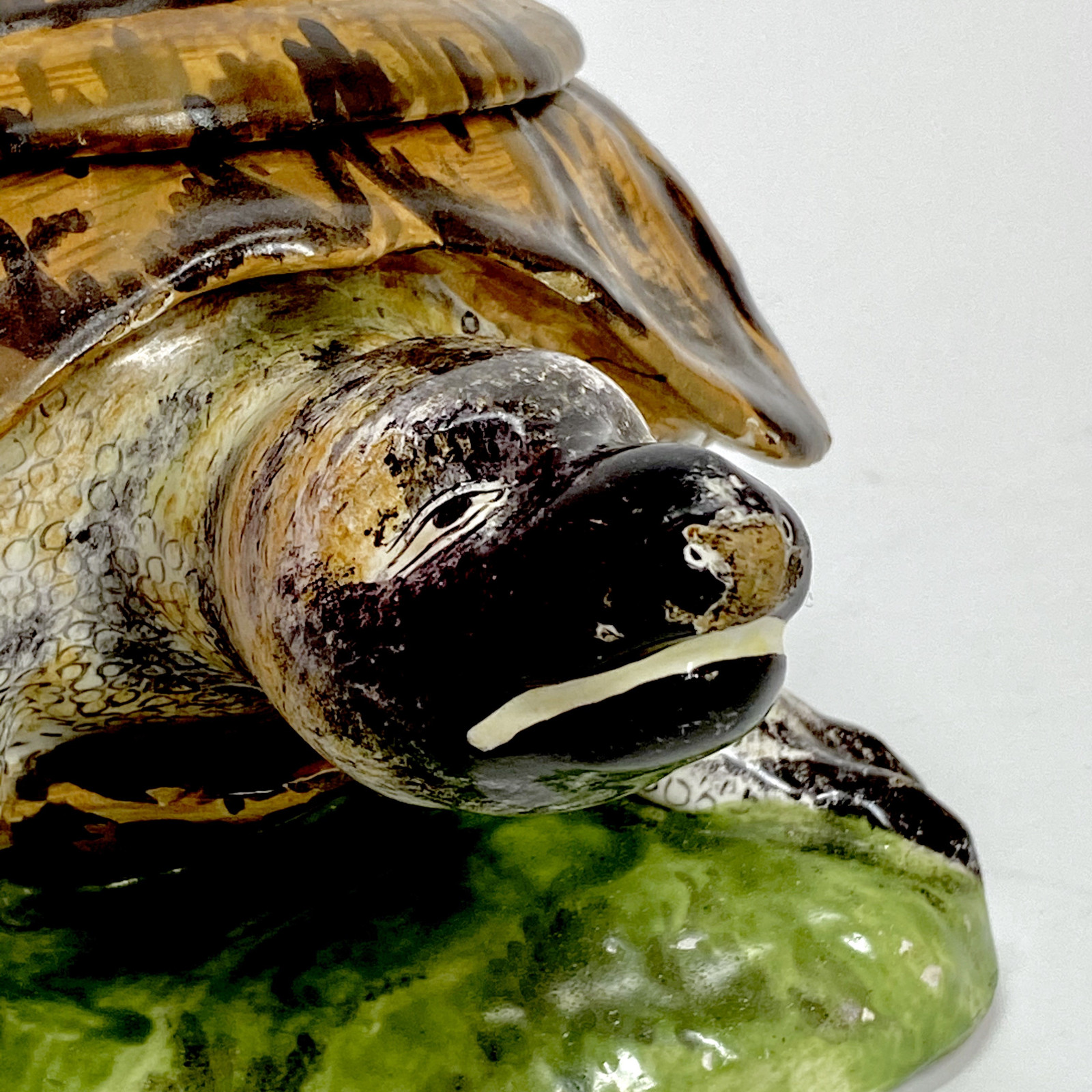 Strasbourg - Tortue en trompe l’oeil - Manufacture Paul Hannong, vers 1750-1754