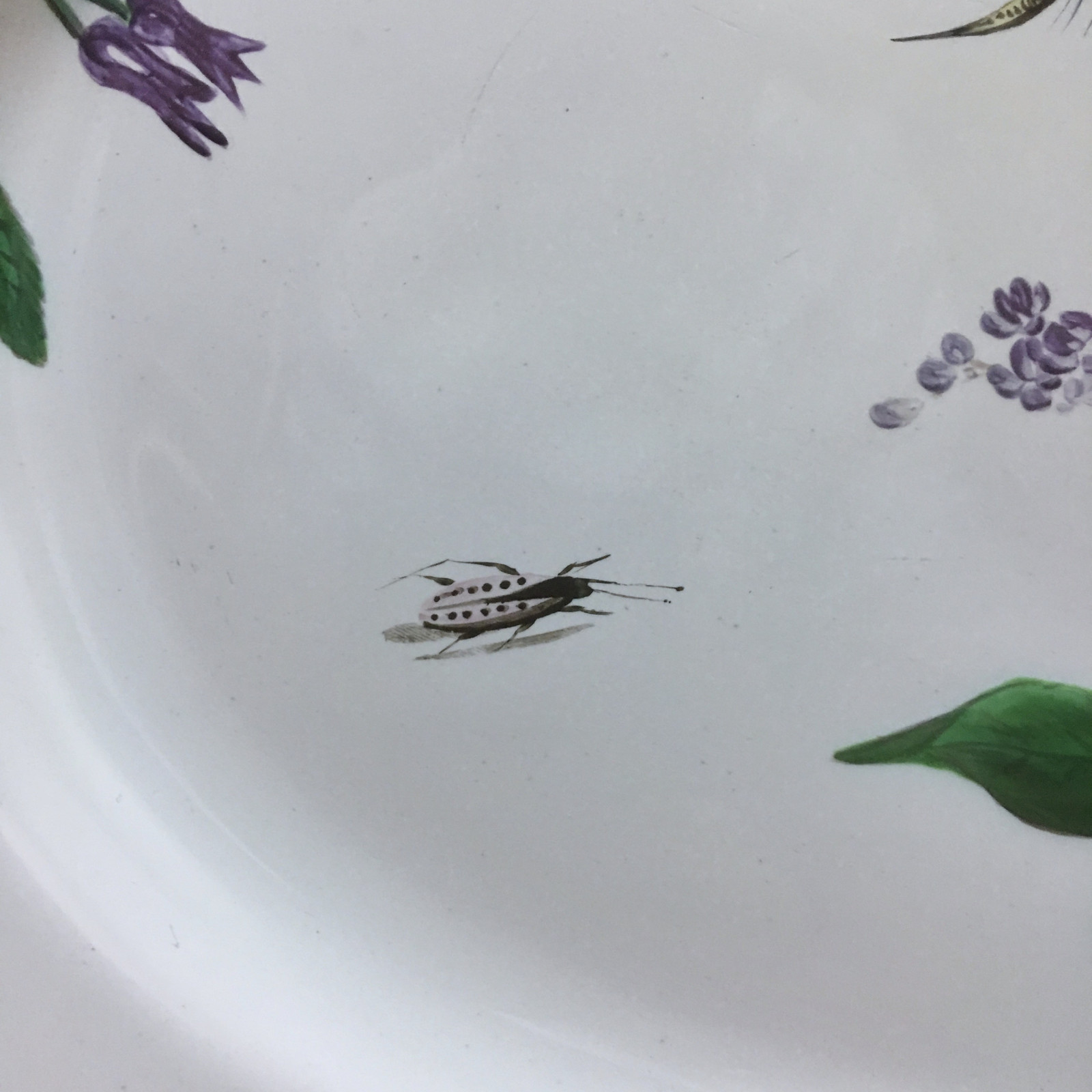 Marseille - Large dish with floral decoration and insects - Fabrique de Robert - Eighteenth century