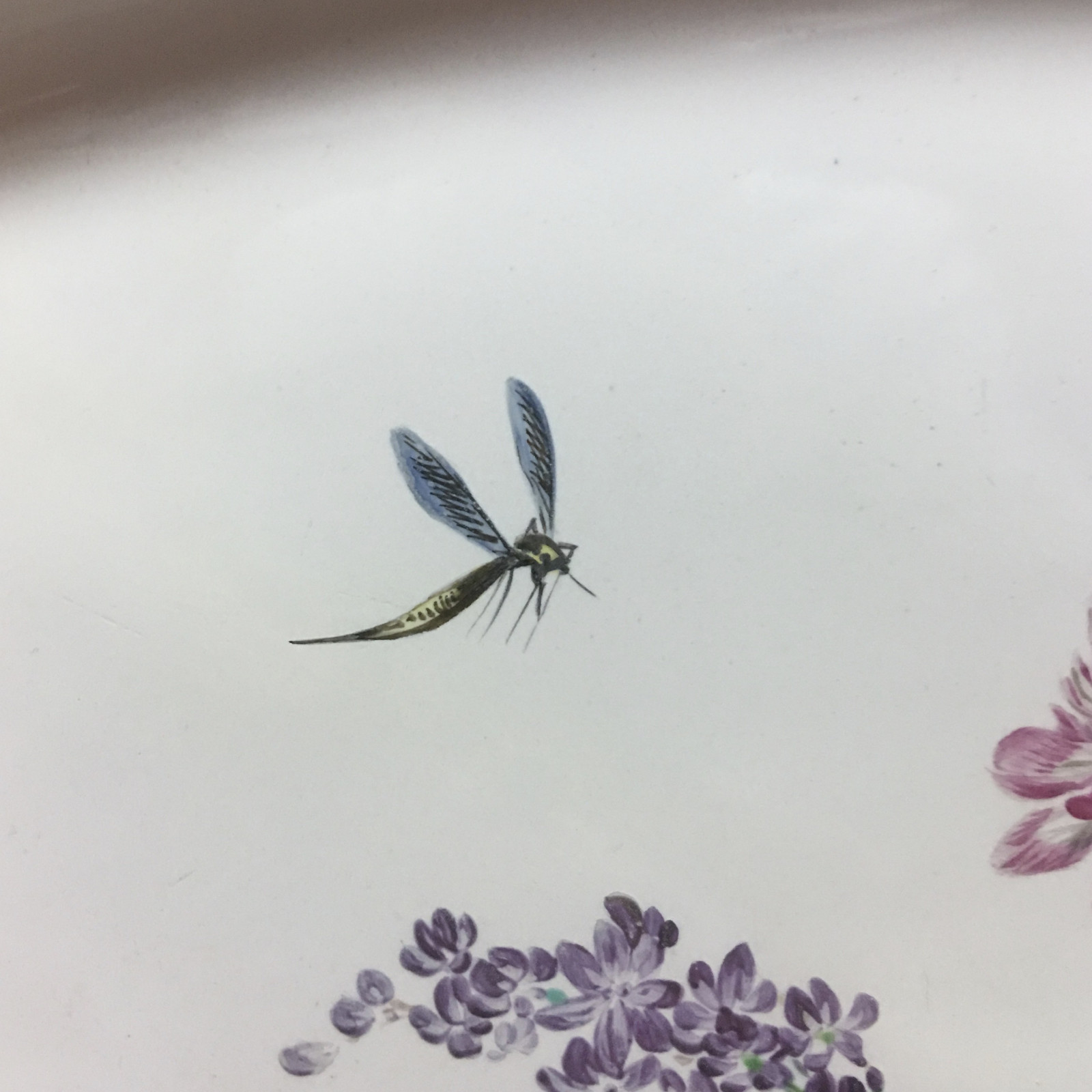 Marseille - Large dish with floral decoration and insects - Fabrique de Robert - Eighteenth century