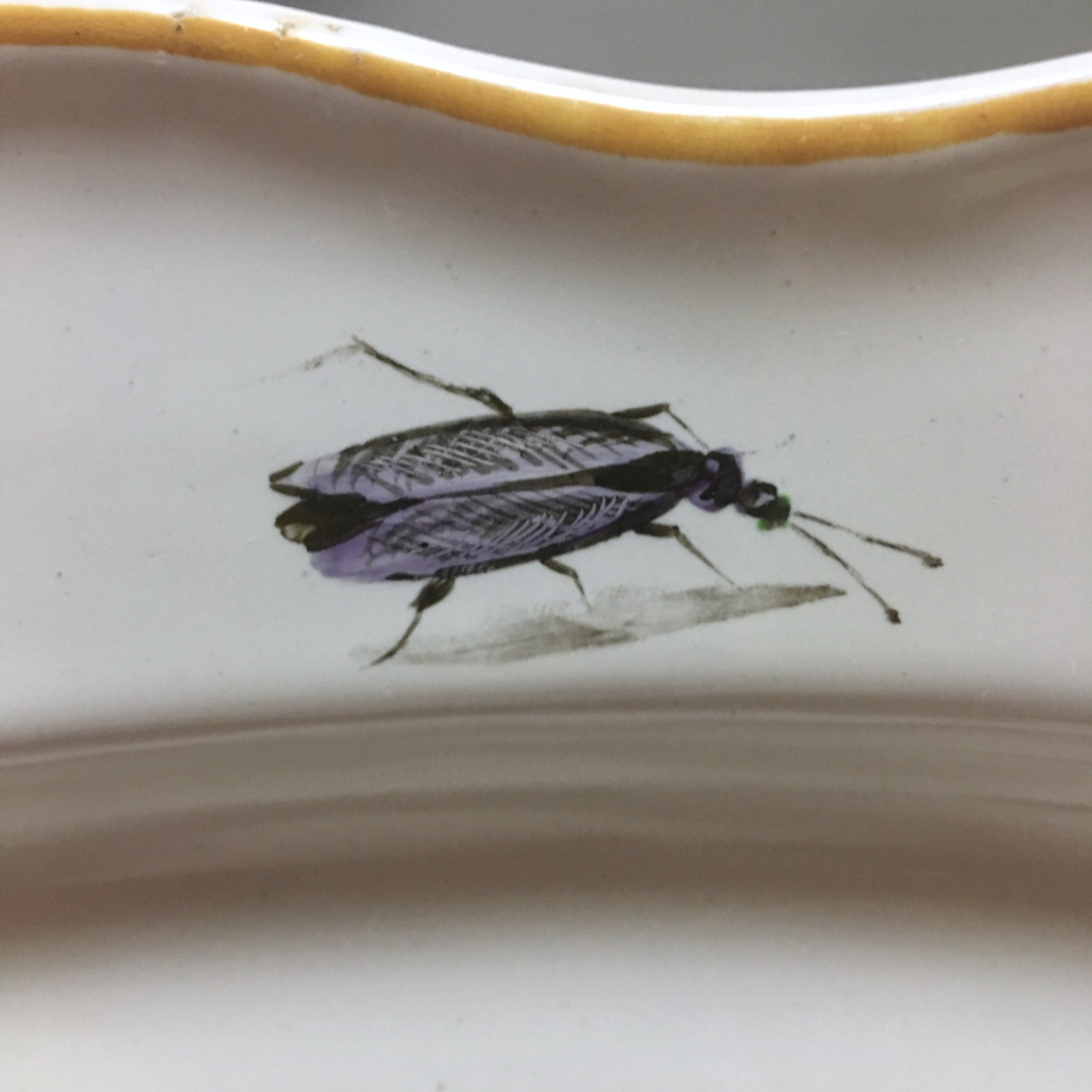 Marseille - Large dish with floral decoration and insects - Fabrique de Robert - Eighteenth century