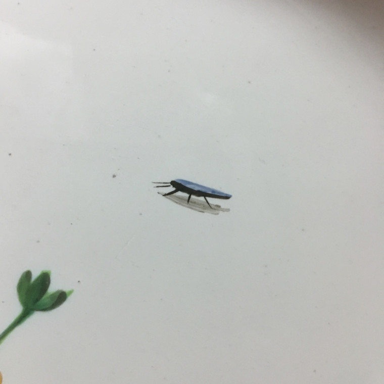 Marseille - Grand plat à décor floral et insectes - Fabrique de Robert - XVIIIe siècle