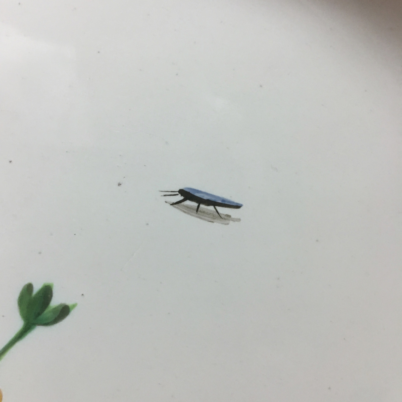 Marseille - Grand plat à décor floral et insectes - Fabrique de Robert - XVIIIe siècle