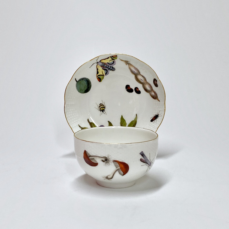 Meissen - Cup and saucer decorated with vegetables and insects - Eighteenth century - circa 1745-1750