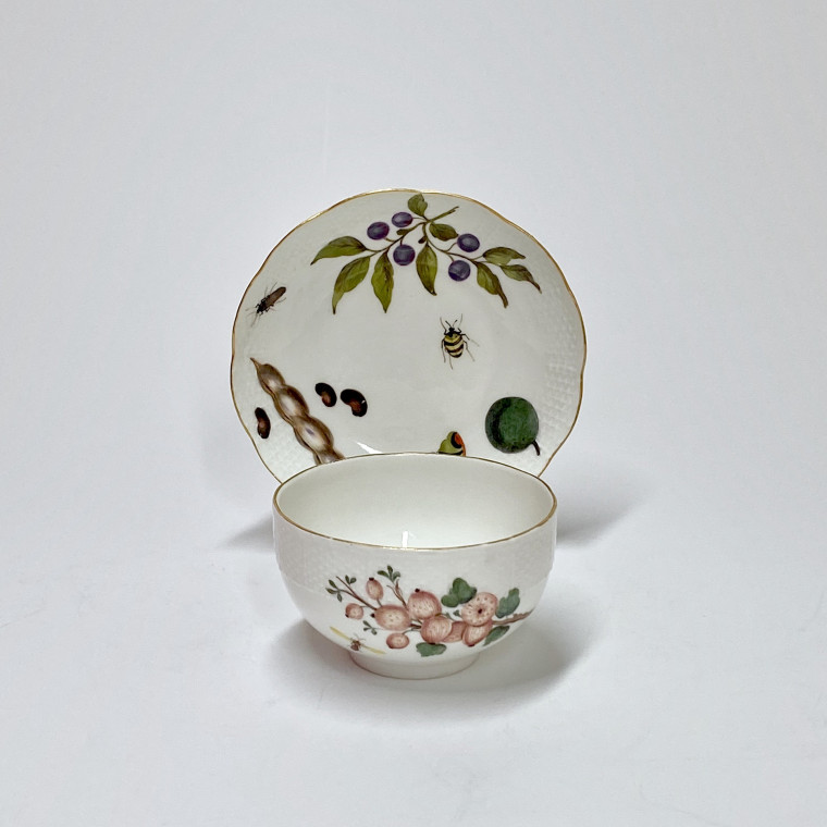 Meissen - Cup and saucer decorated with vegetables and insects - Eighteenth century - circa 1745-1750