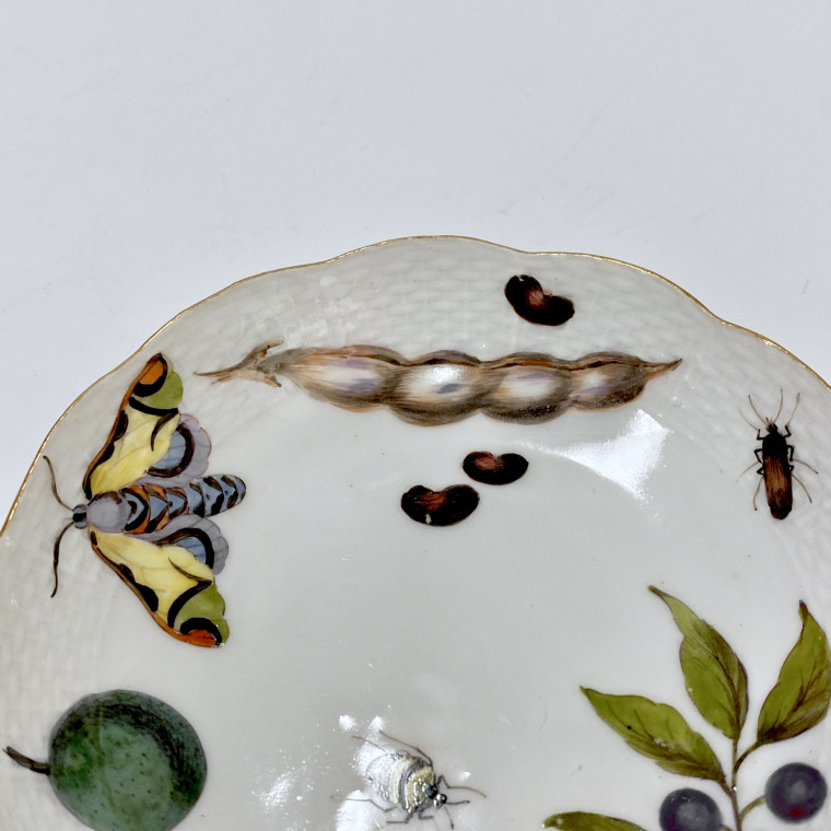 Meissen - Tasse et sa soucoupe à décor de légumes et insectes - XVIIIe siècle - vers 1745-1750