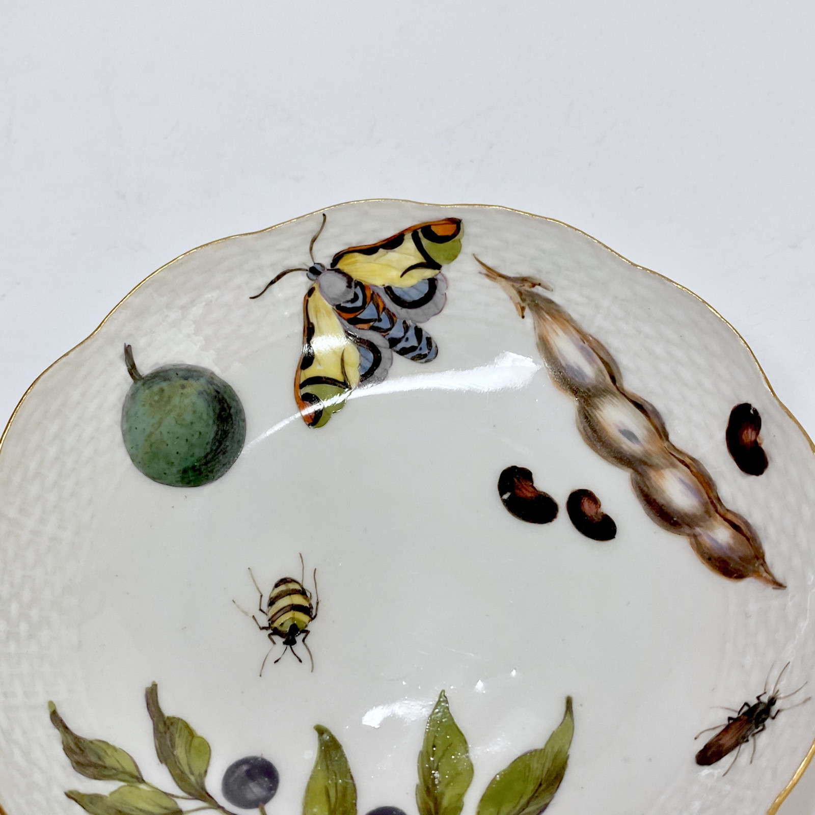 Meissen - Tasse et sa soucoupe à décor de légumes et insectes - XVIIIe siècle - vers 1745-1750