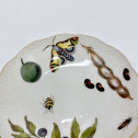 Meissen - Cup and saucer decorated with vegetables and insects - Eighteenth century - circa 1745-1750