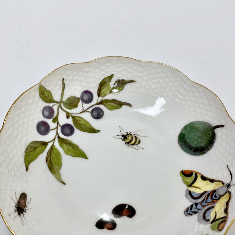 Meissen - Tasse et sa soucoupe à décor de légumes et insectes - XVIIIe siècle - vers 1745-1750