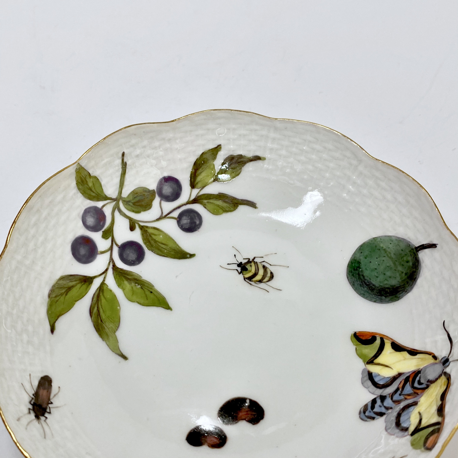 Meissen - Cup and saucer decorated with vegetables and insects - Eighteenth century - circa 1745-1750