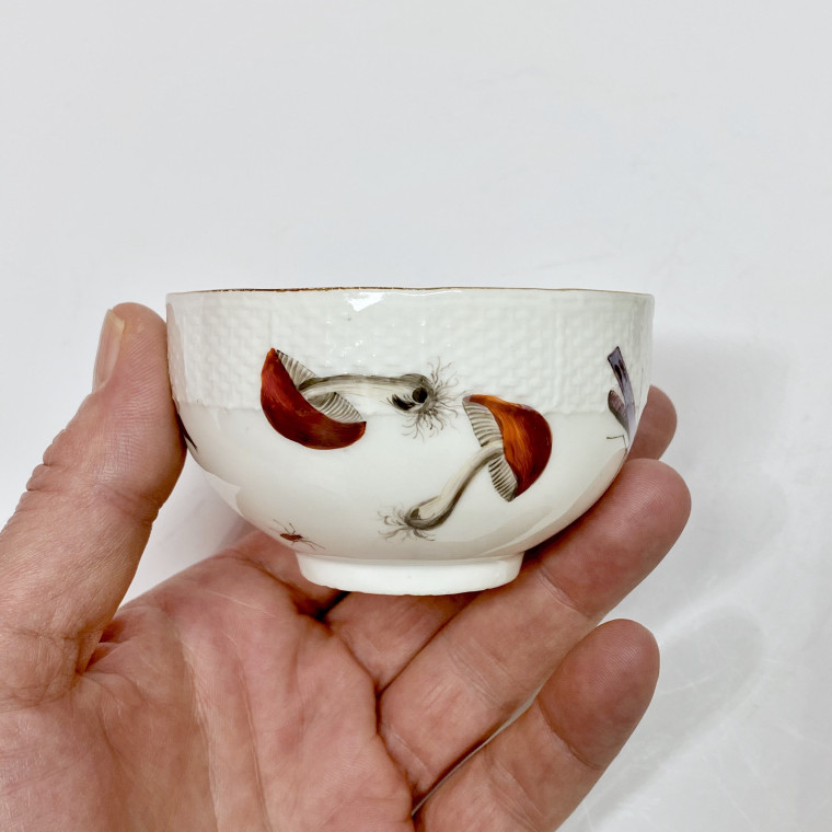 Meissen - Tasse et sa soucoupe à décor de légumes et insectes - XVIIIe siècle - vers 1745-1750