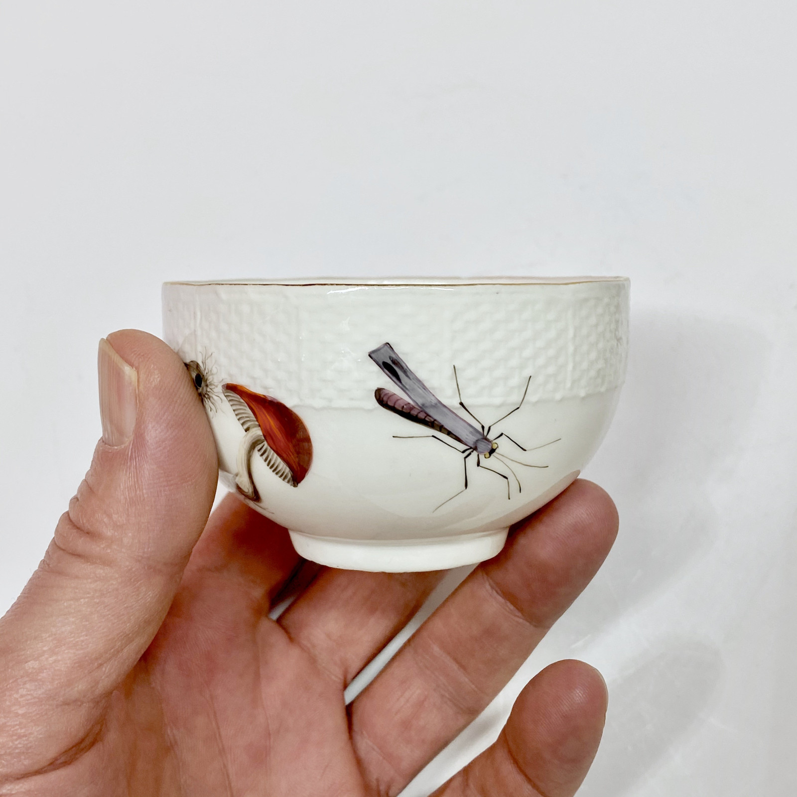 Meissen - Cup and saucer decorated with vegetables and insects - Eighteenth century - circa 1745-1750