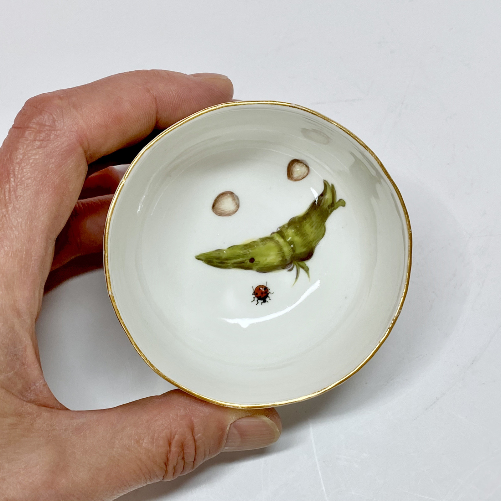 Meissen - Tasse et sa soucoupe à décor de légumes et insectes - XVIIIe siècle - vers 1745-1750