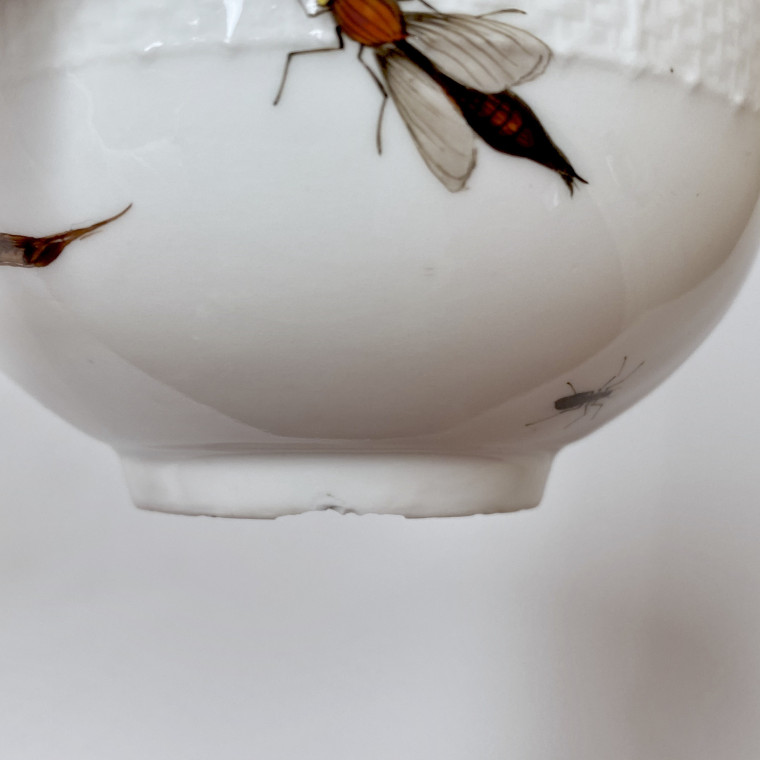 Meissen - Tasse et sa soucoupe à décor de légumes et insectes - XVIIIe siècle - vers 1745-1750