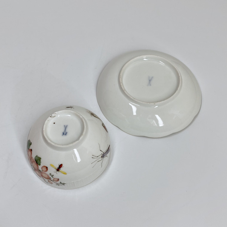 Meissen - Cup and saucer decorated with vegetables and insects - Eighteenth century - circa 1745-1750