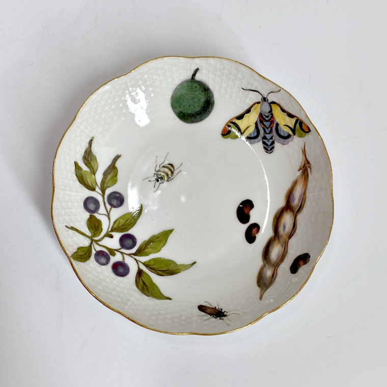 Meissen - Tasse et sa soucoupe à décor de légumes et insectes - XVIIIe siècle - vers 1745-1750