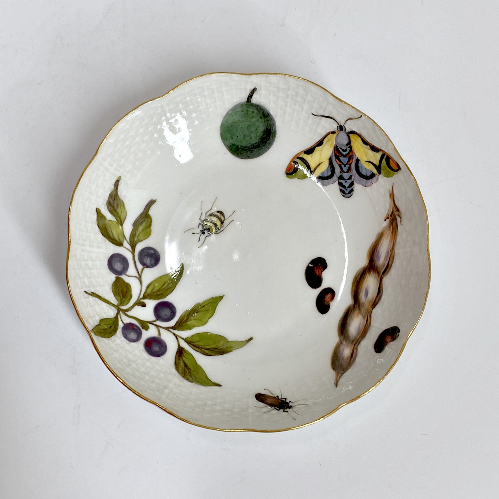 Meissen - Tasse et sa soucoupe à décor de légumes et insectes - XVIIIe siècle - vers 1745-1750