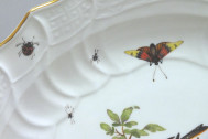 Meissen - Plat en porcelaine à décor d'oiseaux et d'insectes - XVIIIe Siècle