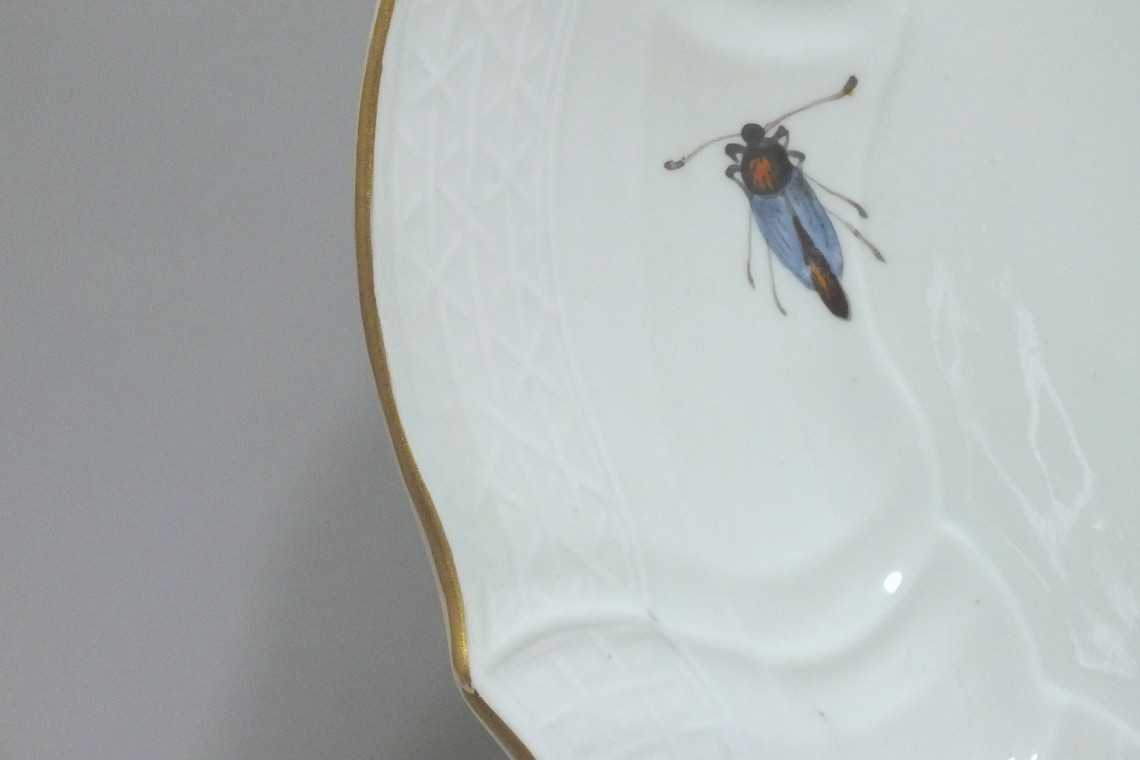 Meissen - Plat en porcelaine à décor d'oiseaux et d'insectes - XVIIIe Siècle